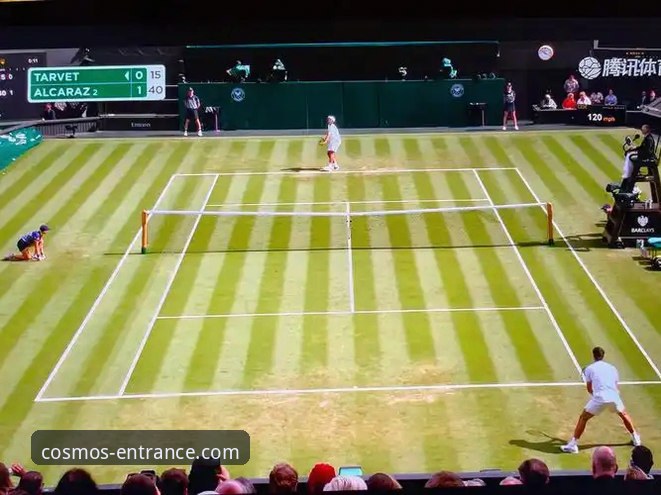 星空入口好用吗 一场被“困住”的网球盛宴:从迪拜到印第安维尔斯的“路线选择”深度评测